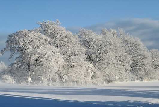 冬季唯美的雪景图片