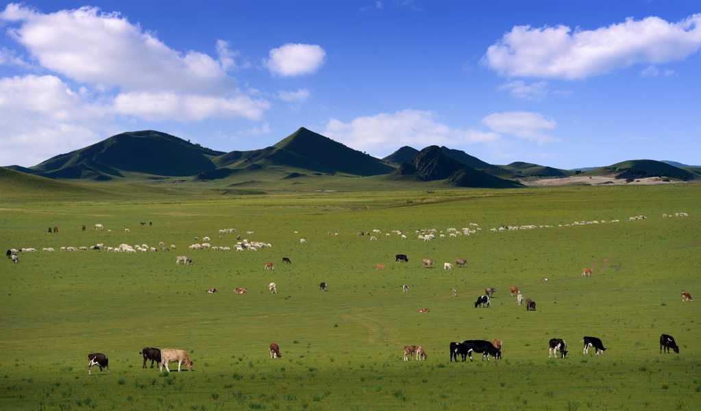 内蒙古乌兰布统草园景致图片