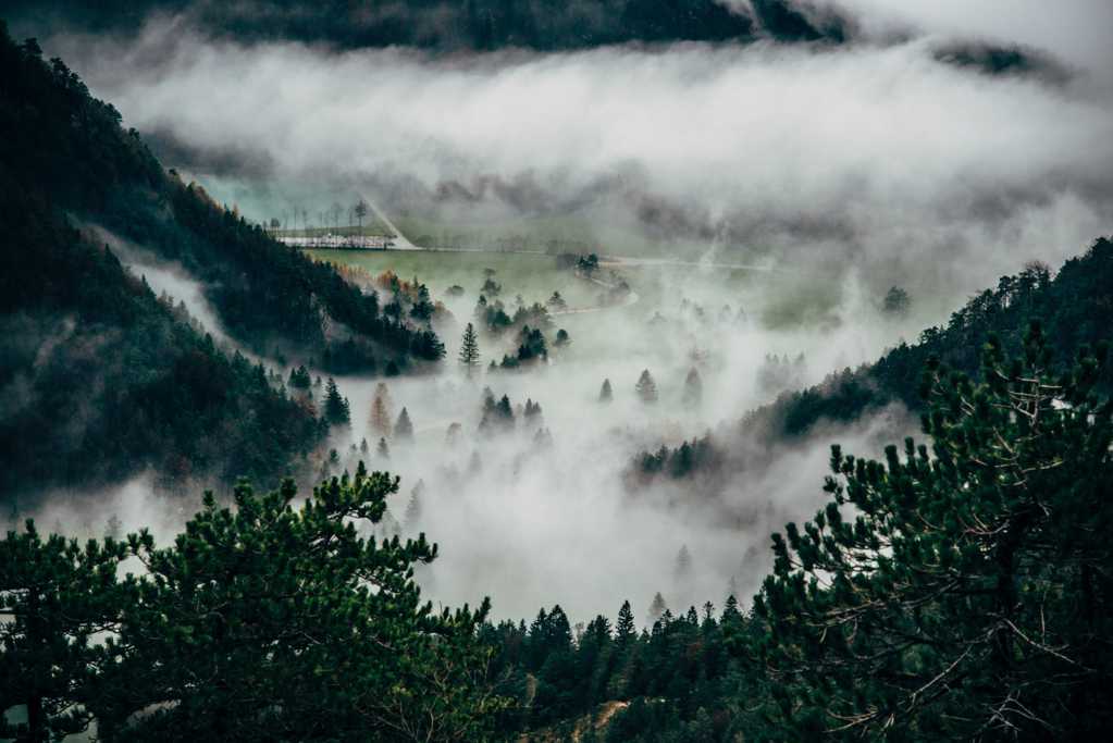 浓雾笼罩的风景图片
