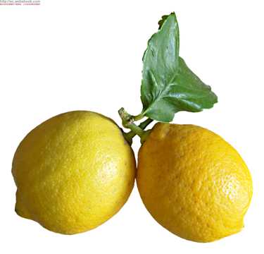 新鲜的柠檬