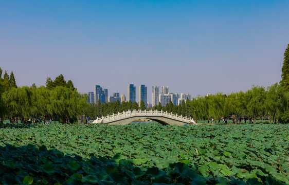 湖北武汉都会建筑自然风光图片
