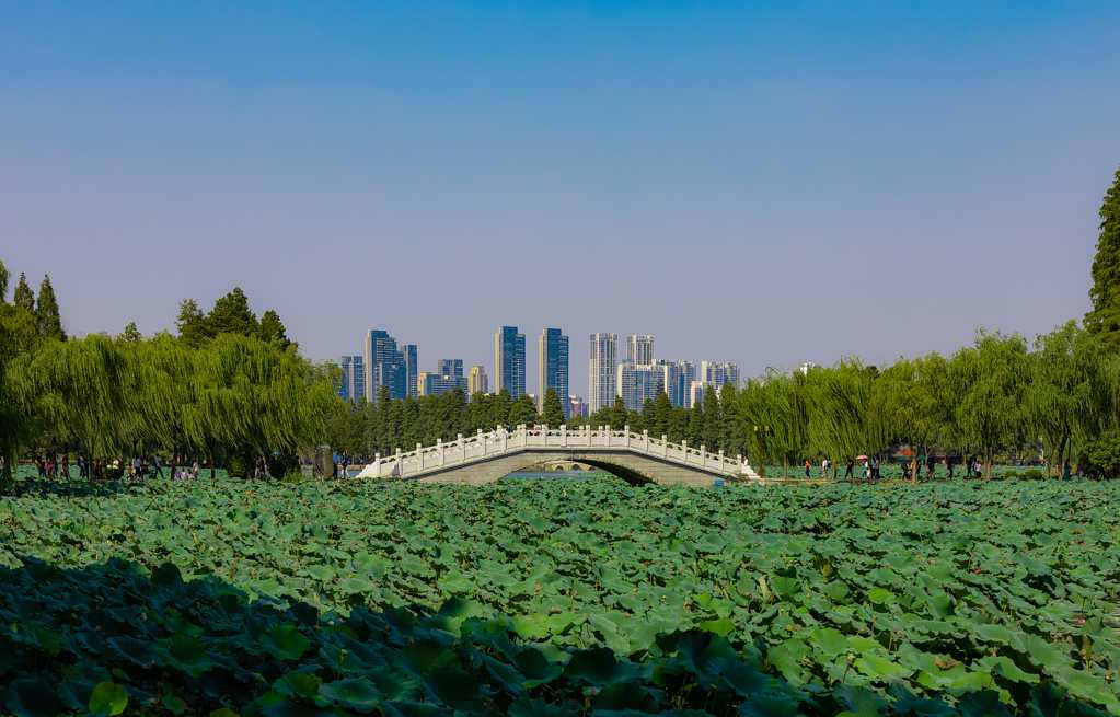 湖北武汉都会建筑自然风光图片