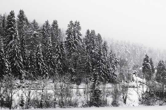 冬日雪山景观黑白图片
