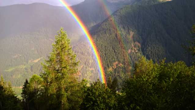 美轮美奂的树林雨后彩虹图片