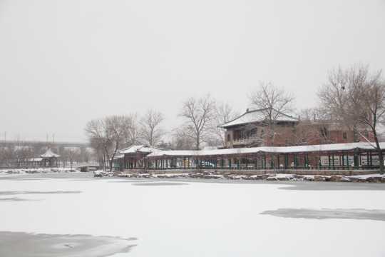 天津北宁公园雪景图片