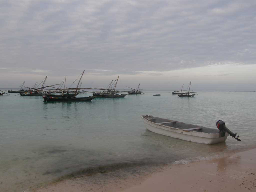 烟台桑岛海豚湾的清晨景象图片