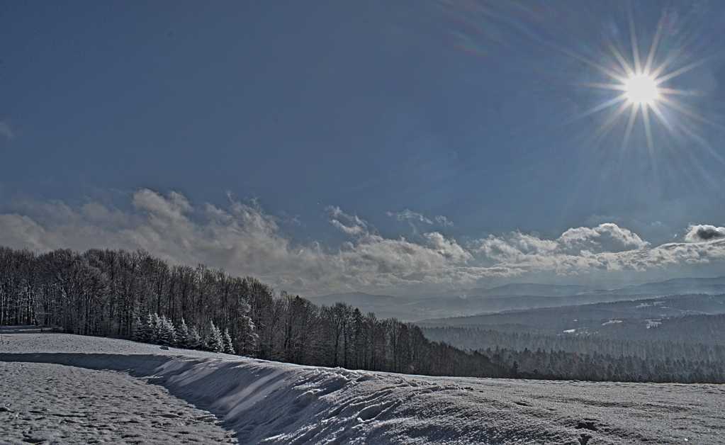 清新的冬天雪景图片