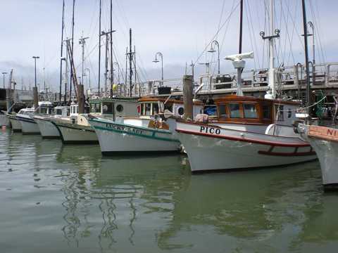 美国旧金山渔人码头风光