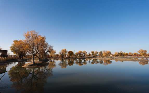 新疆库尔勒罗布泊自然风光图片