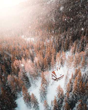 冬天丛林的小木屋