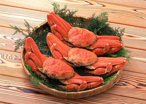 海鲜食材螃蟹的图片