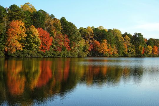 唯美的秋天湖水树木图片