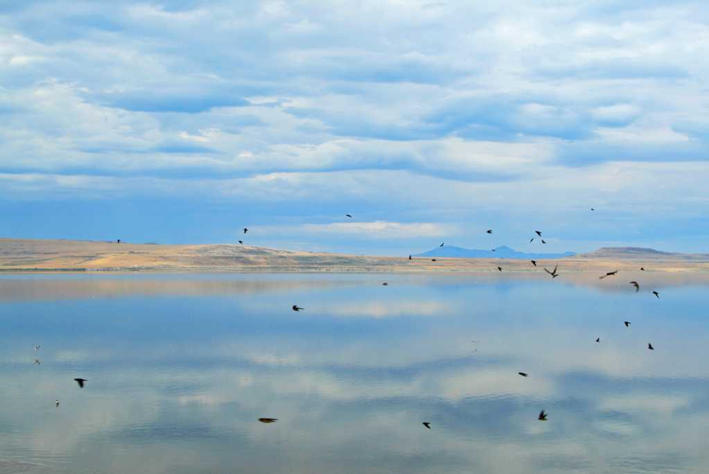 广阔的大盐湖图片