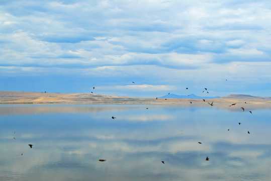 广阔的大盐湖图片