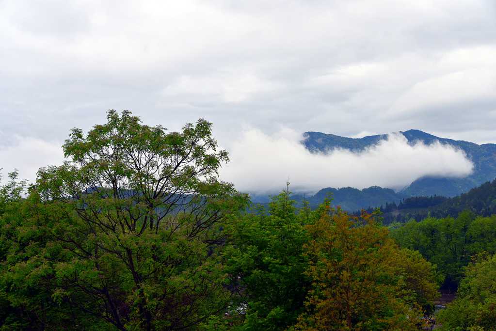 福建武夷山景色图片