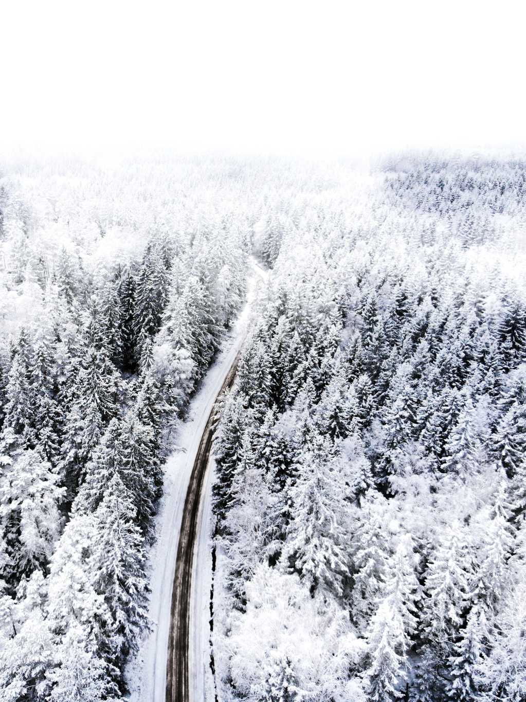冬日白雪森林自然风光图片