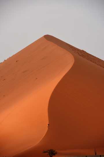 金色的荒漠沙丘