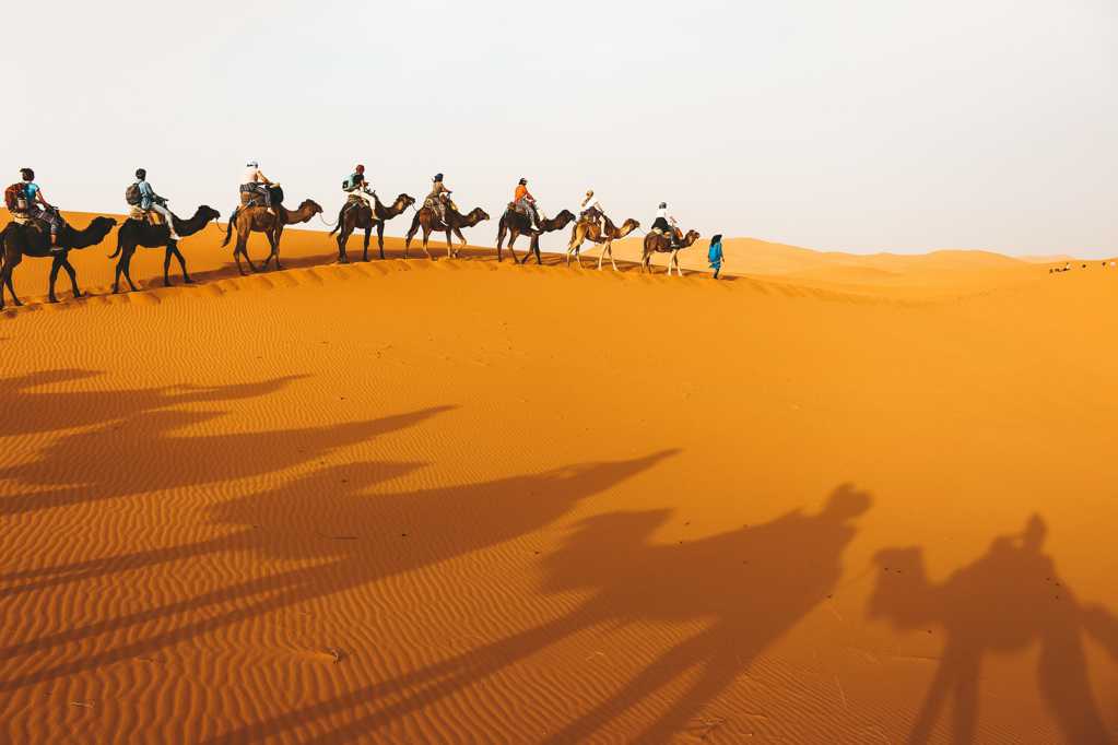 戈壁骆驼队伍拍照图片