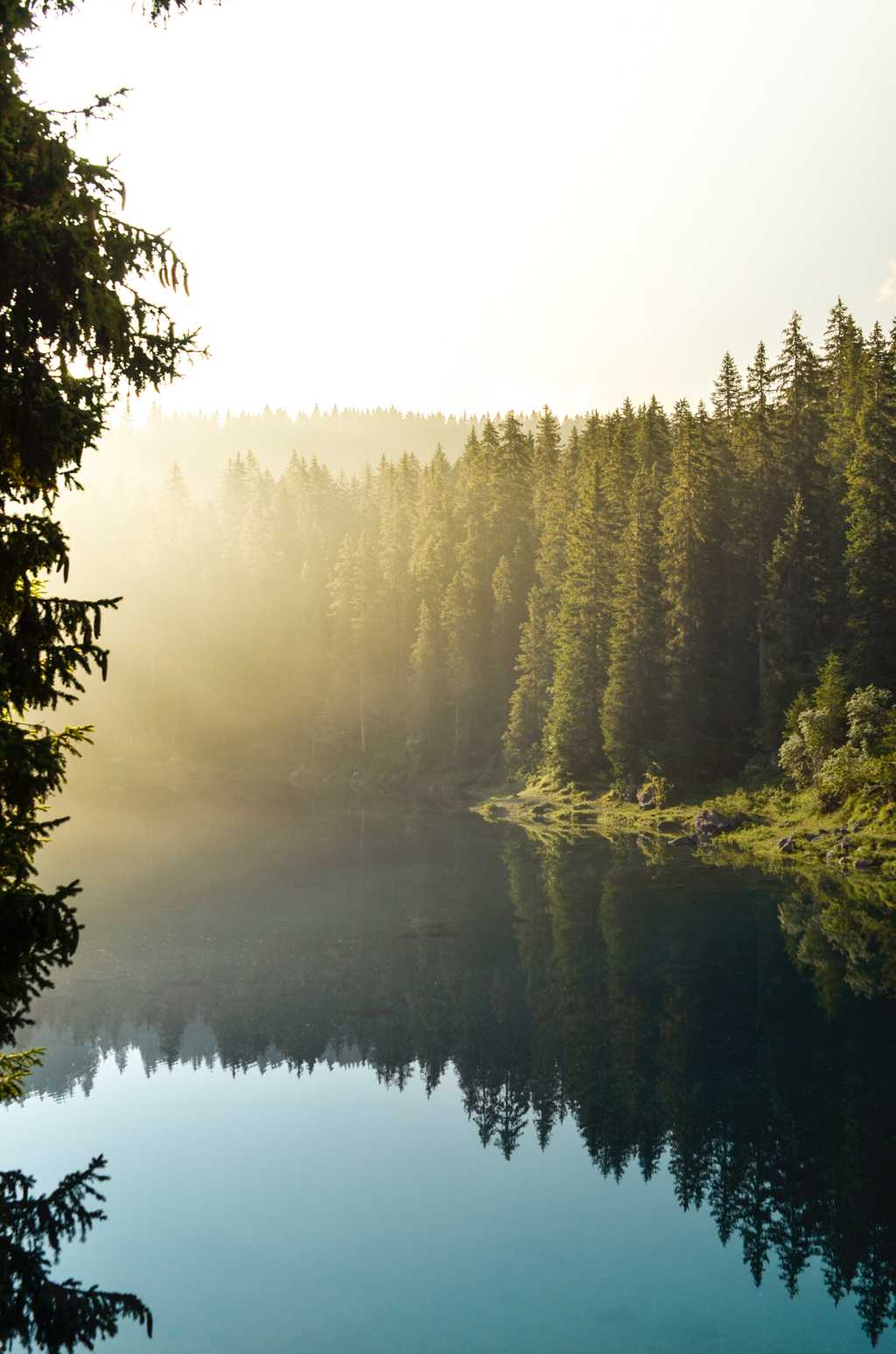 晨雾中的山林湖泊