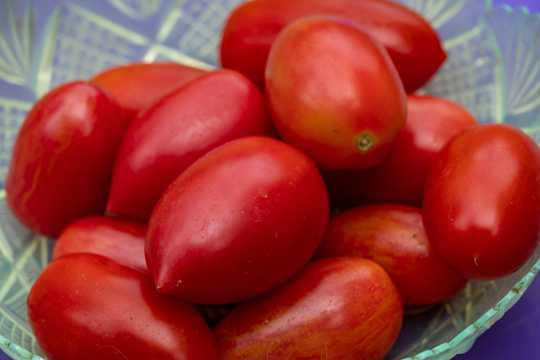 红色新鲜小西红柿图片