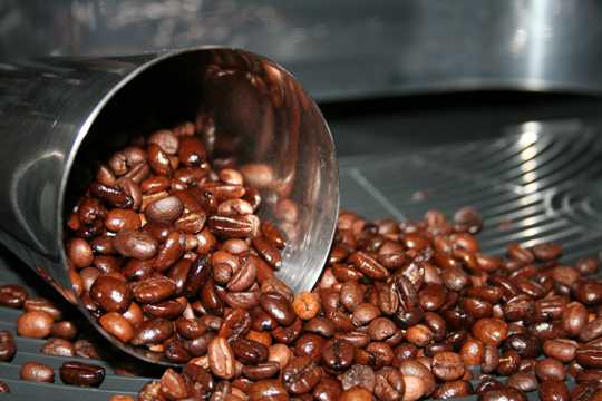 清香的咖啡豆