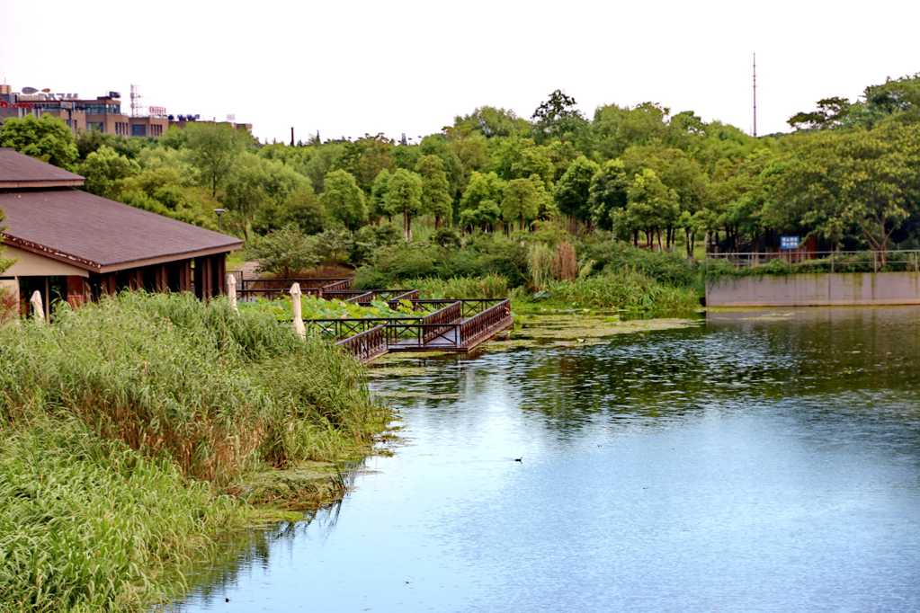 无锡长广溪湿地公园景致图片