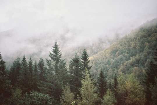 云雾缭绕的自然风光