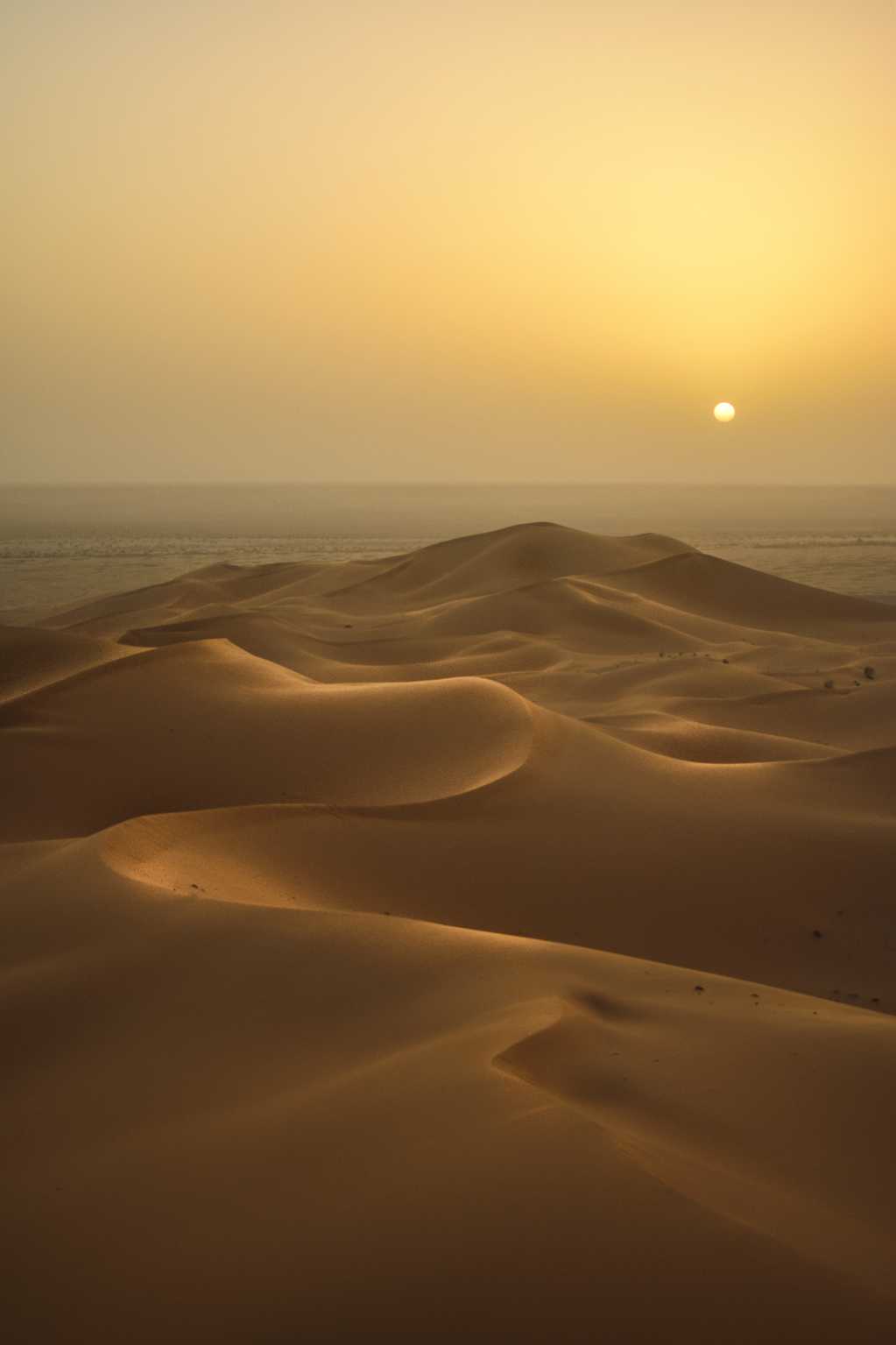 黄昏下的大漠图片