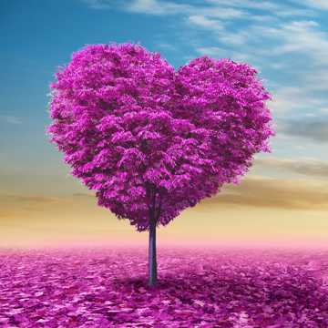 紫色浪漫爱心树图片