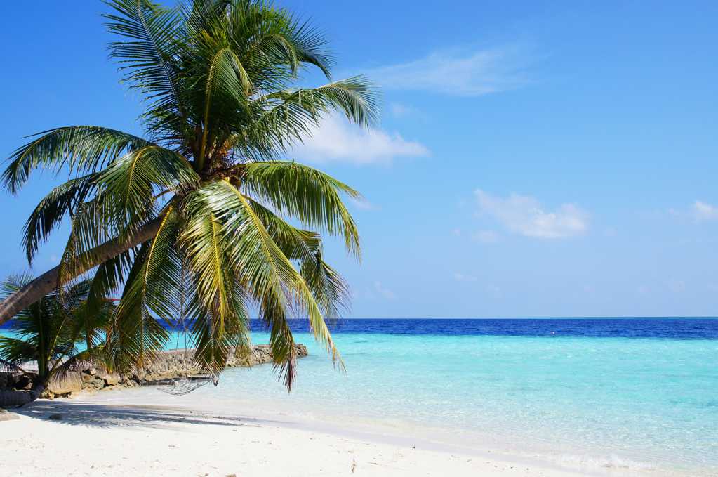浪漫的马尔代夫海岸自然风光图片