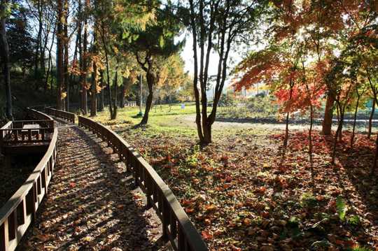 秋日公园景致图片
