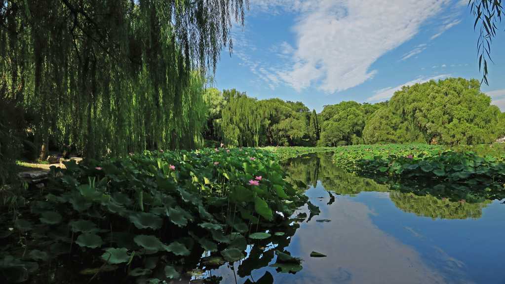 北京紫竹院公园景物图片