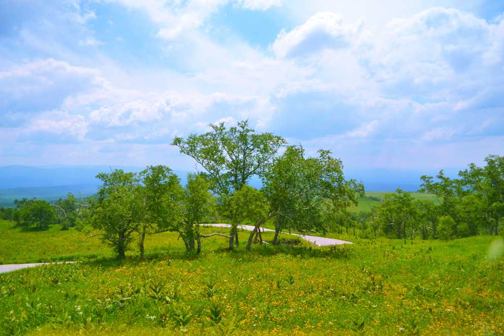 吉林长白山自然风景图片