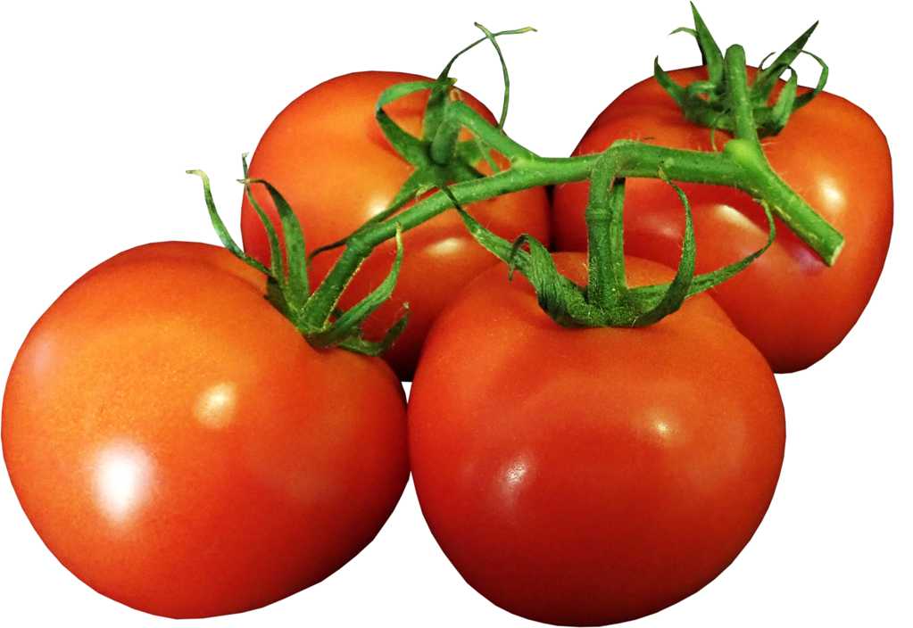 营养蕃茄蔬菜图片