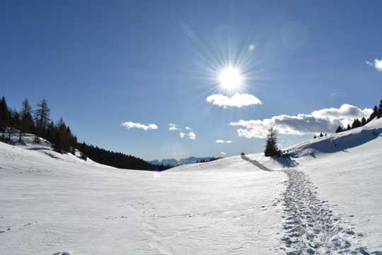 冬日雪地朝阳光景图片