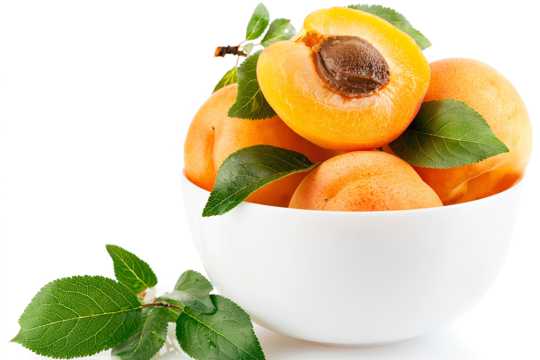 营养丰富酸甜好吃的杏图片