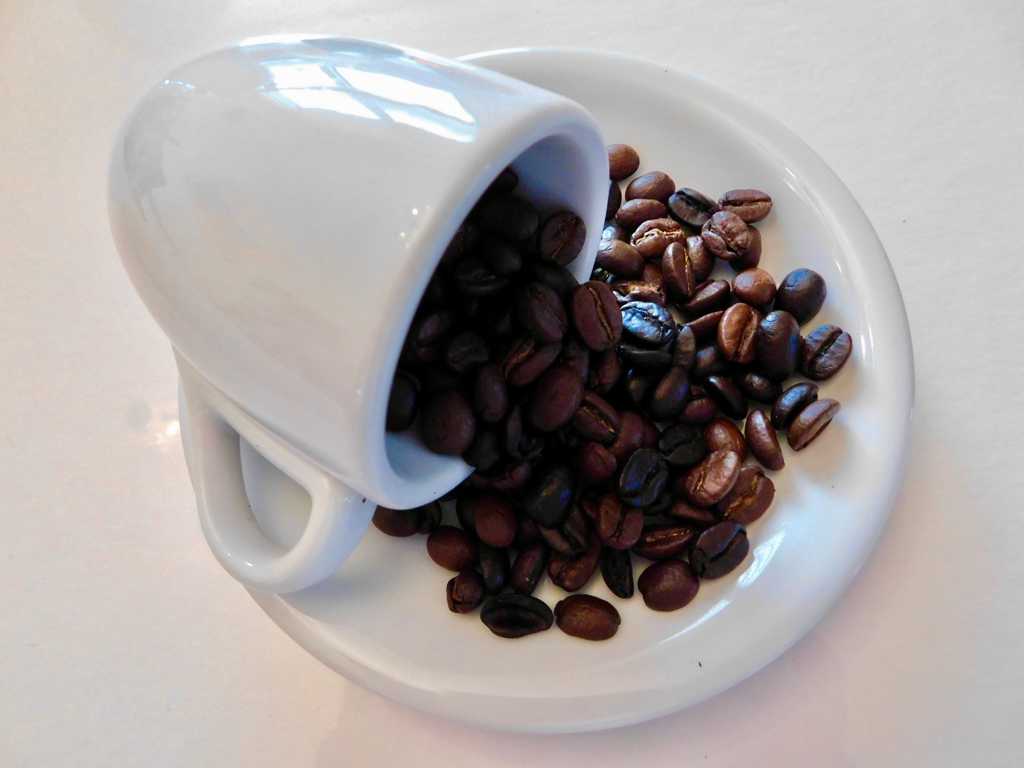 杯子里的咖啡豆