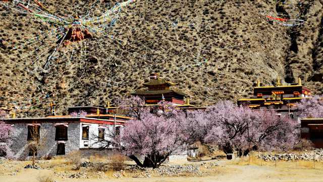 西藏雍仲林寺景致图片