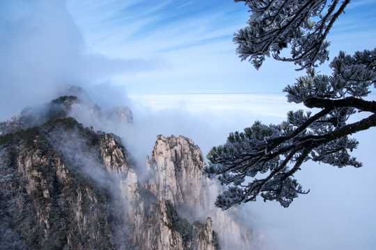 安徽黄山雾凇景致