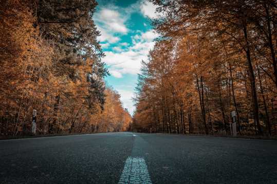 唯美的秋日道路光景