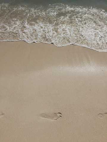 海滨海滩脚印图片