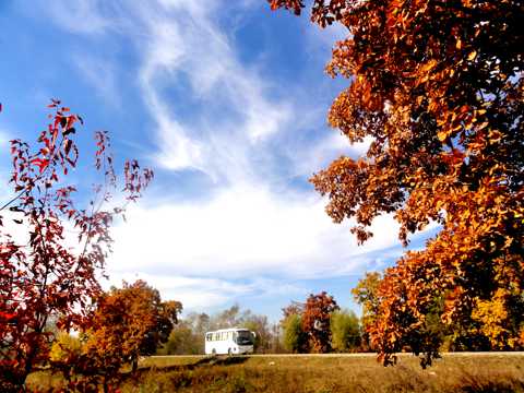 郊外秋季景色图片