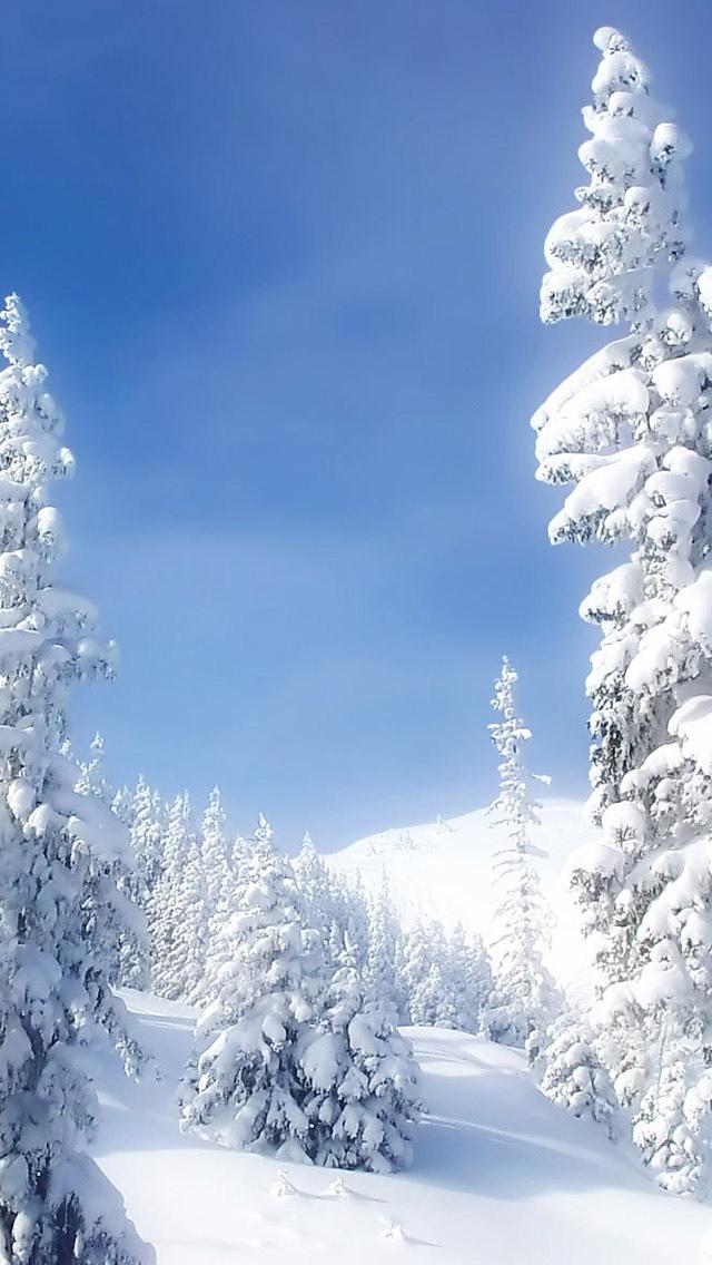 大雪山iPhone 5壁纸