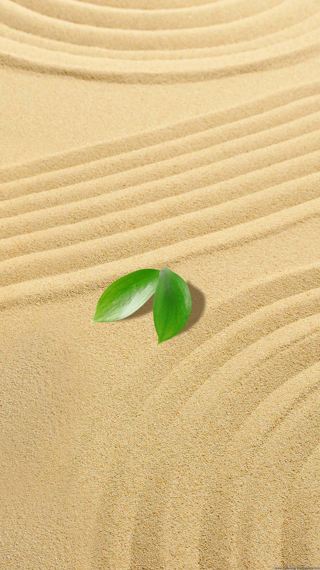 小绿叶沙子iPhone 6加高清壁纸