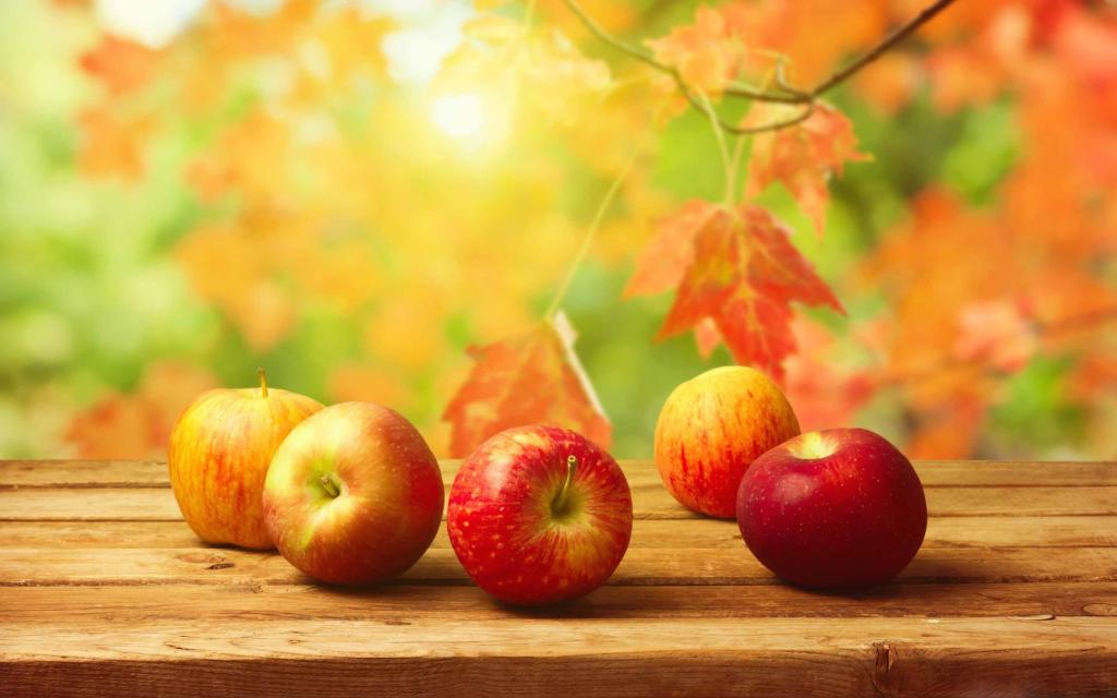 秋天苹果Mac壁纸