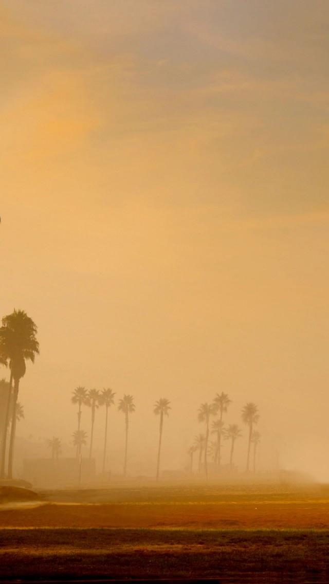 洛杉矶早晨海滩iPhone 5壁纸