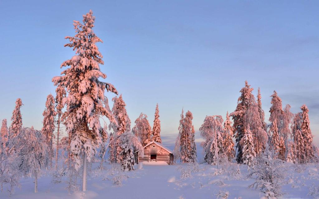 木房子在冬季森林Mac壁纸