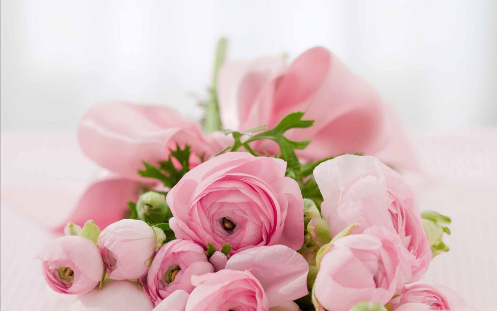 粉红色的花朵新娘花束Mac壁纸