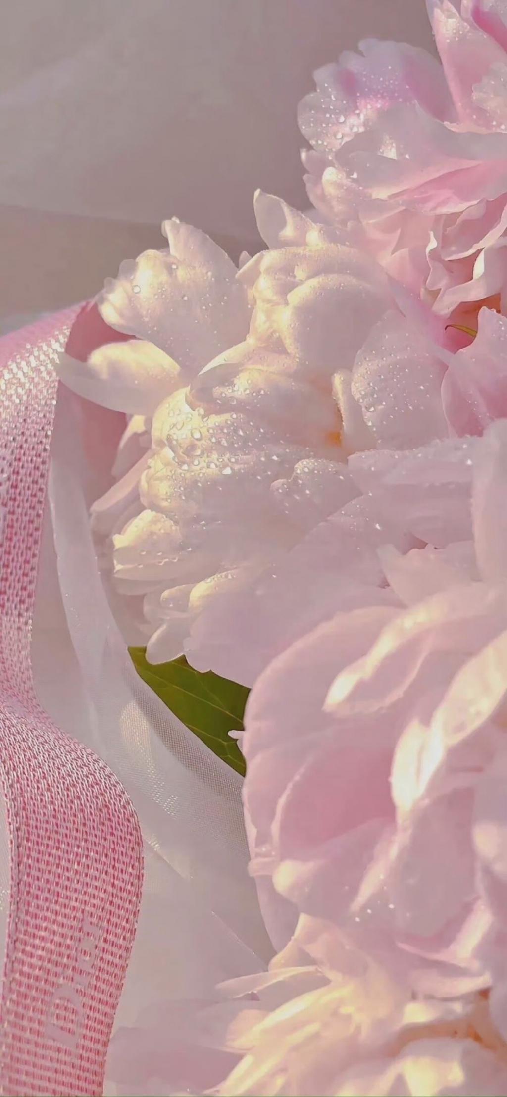 浪漫的粉色鲜花