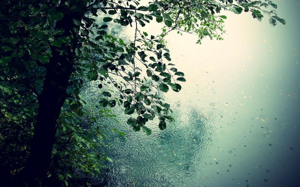 大自然雨Mac壁纸